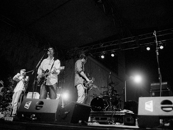 Shaking Tree at July Jamm